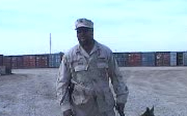 Handlers Training Their Dogs