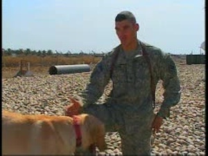 Specialized Search Dogs Package