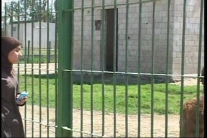 15 BSB Supports Baghdad Zoo