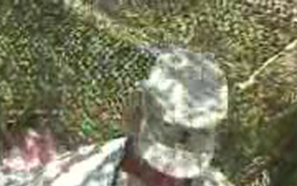 36th Medical Evacuation Battalion