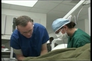 Airmen at War: Afghan Dog Teeth