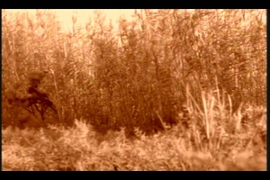 Moment of Valor 9: CW3 Davison, CW2 Johnson