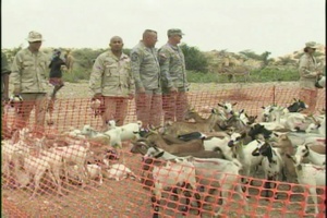 U.S. Military Leaders Visit Djibouti