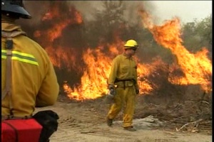 Controlling Wild Fires and Securing Evacuated Homes