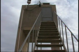 Tower Guard