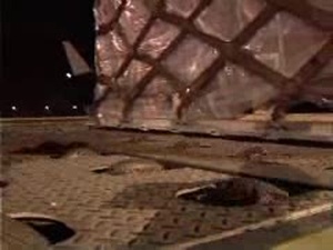 Air Force Report: China Relief