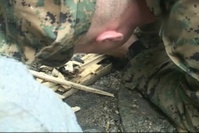 Jungle Survival at Survival Beach