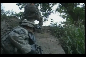 CW3 Leach Profile