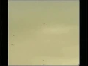 Falcon Plays Major Roll in BASH Program