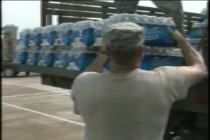 Air Force Report: Dolly Response
