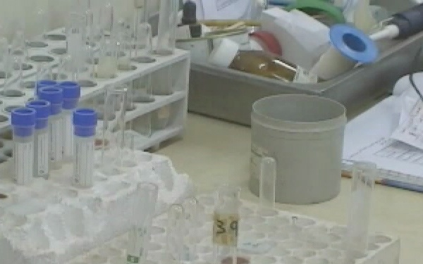 Operation Iraqi Freedom: Members of the U.S. Army Military Police Conduct a