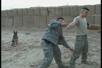 Dogs Handle Troops
