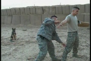 Dogs Handle Troops