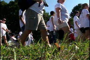 Freedom Walk