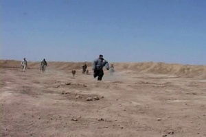 Iraqi SWAT Dog Training