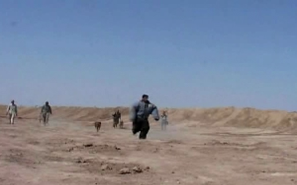 Iraqi SWAT Dog Training