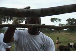 Horn of Africa Veterinarian Civic Action Project Team in Tanzania