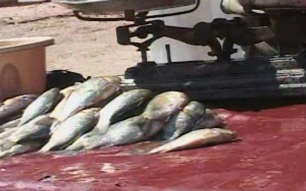 Marketplace in Mosul, Iraq