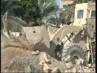 New Base Preparations