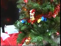 Happy Hollidays from USARCENT