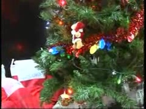 Happy Hollidays from USARCENT