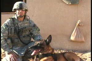 Military Working Dogs (Package)