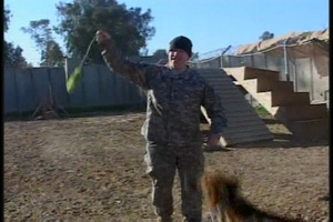 To the Dogs