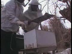 PRT Helps Beekeepers