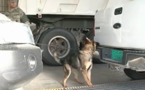 Search Pit First Line of Defense