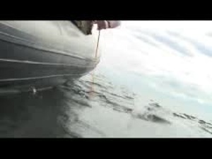 Entebbe Diving