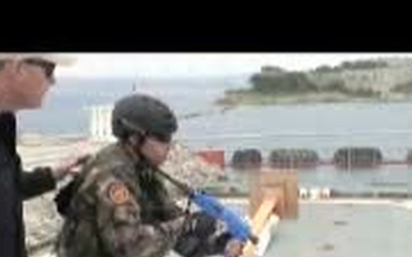 Joint Small Arms Training
