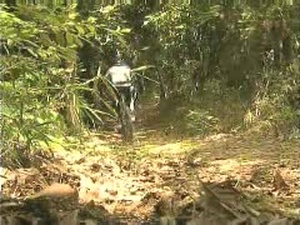 Air Force Report: Bike Race