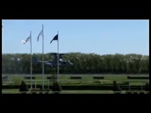 Look Live - End of Marine Week