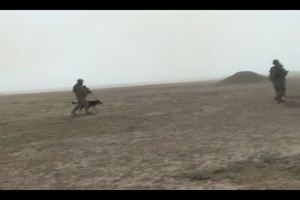 Joint Air Assault Operation