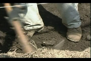 Two Minute Report: Excavation