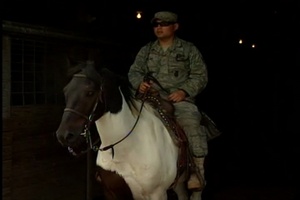 Horse Training