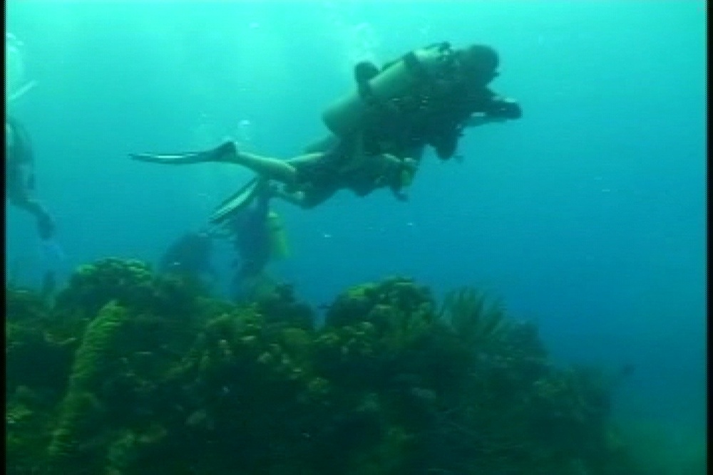 DVIDS Video Soldiers Undertaking Disabled Scuba Broll, Part 2