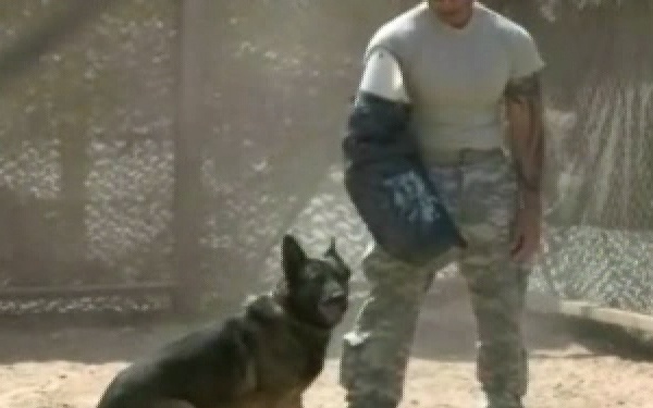 First Team Update 18