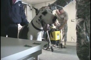 Global Medic 2009 Veterinary
