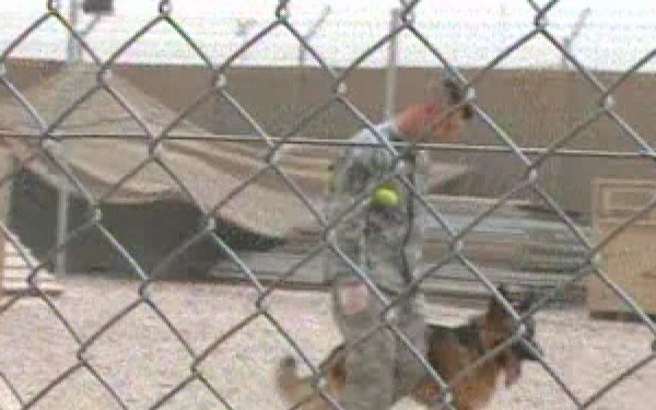 Tikrit Orphanage Day