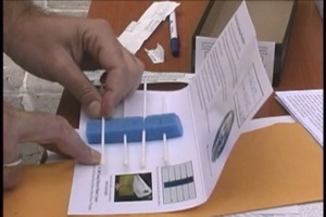 Daily News Update: Bone Marrow Drive NSA Naples