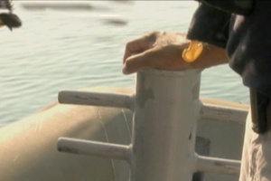 Daily News Update: Training Trainers