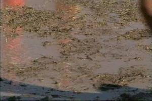 Air Force Report: AF Week Mud Run