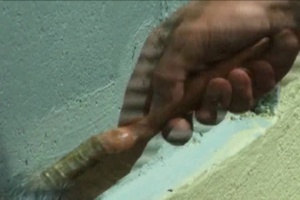 Daily News Update: Community Service in Trinidad