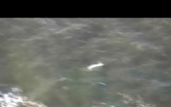 Coast Guard Rescues 1 Near Little Egg Inlet, N.J.