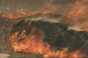 Air Force Report: Pine Canyon Fire