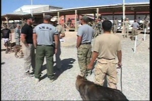 Wardog Memorial Dedication