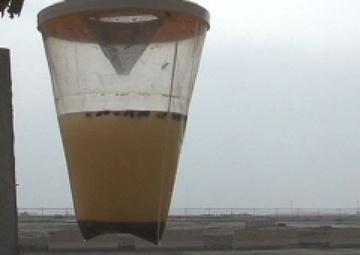 It's Best to Get Rid of Pests