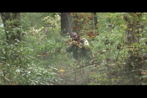 Bold Quest 2009: Military Installation Support