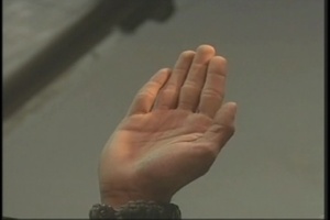 Naturalization Ceremony, Package